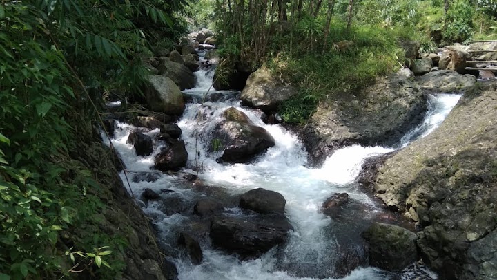 Bhumi Cantigi river side camp